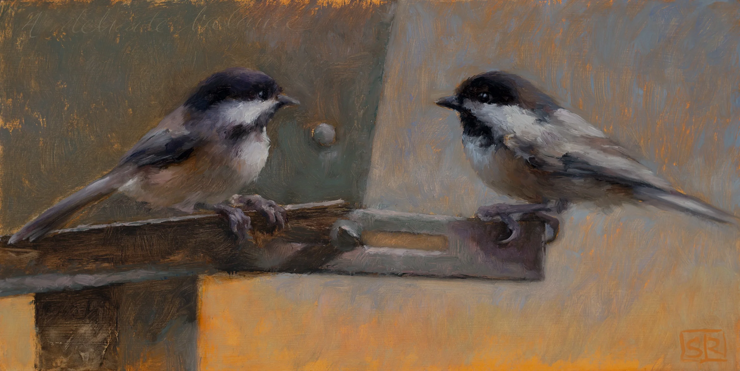 a delicate balance black capped chickadees