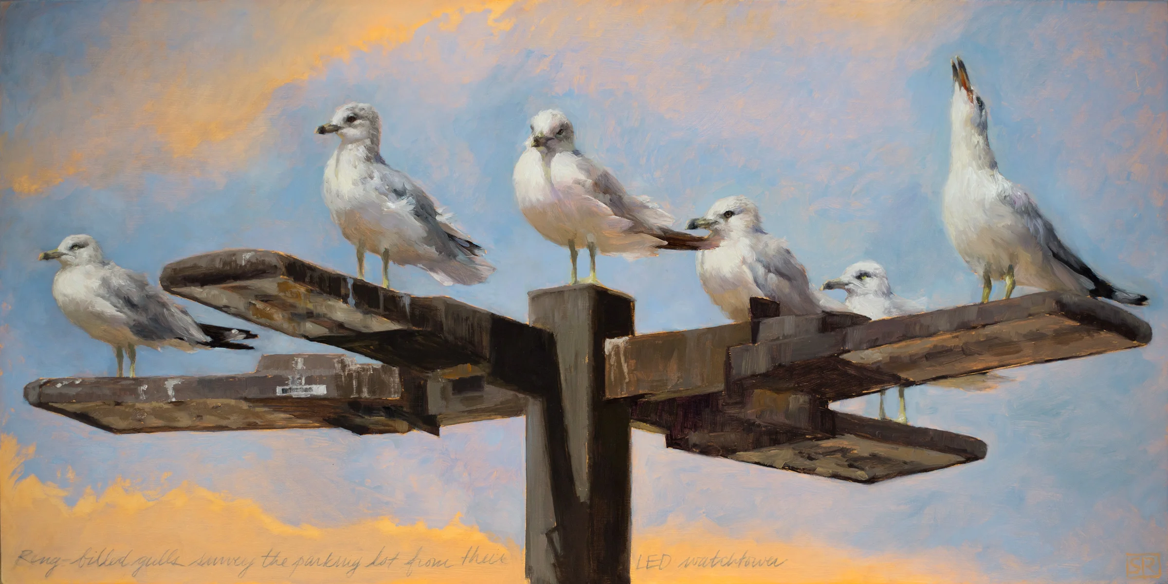 LED Watchtower Ring Billed Gulls