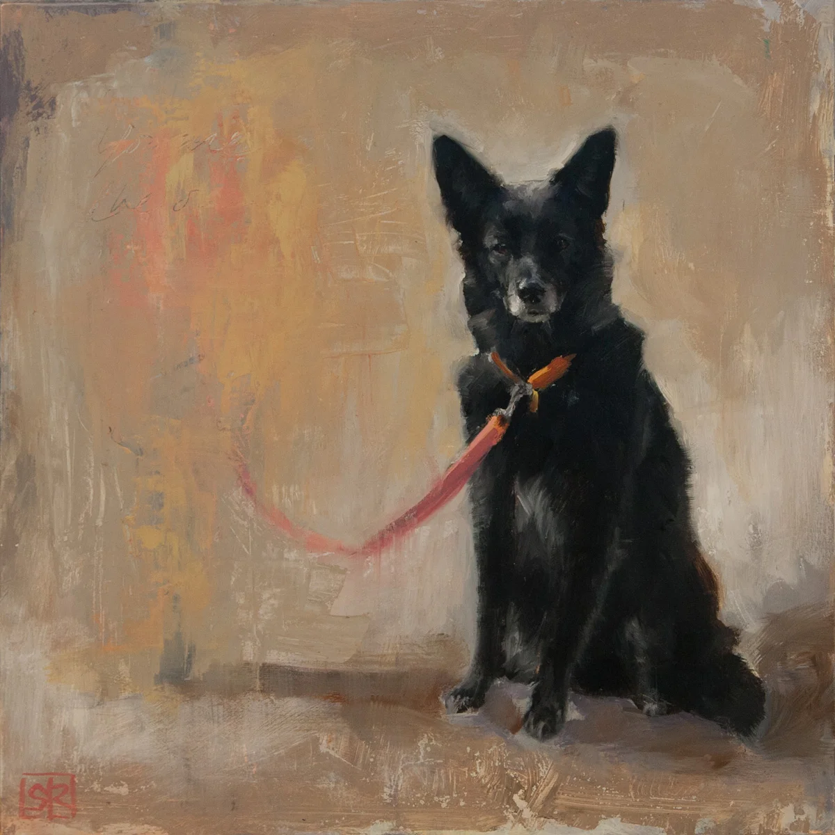 Black dog, leashed