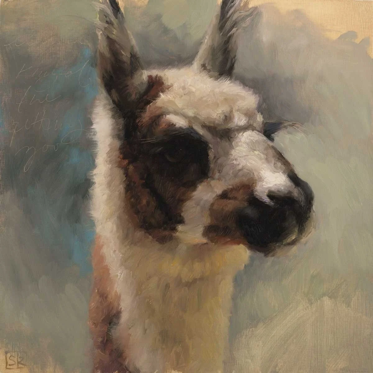 Llama King of the Petting Zoo