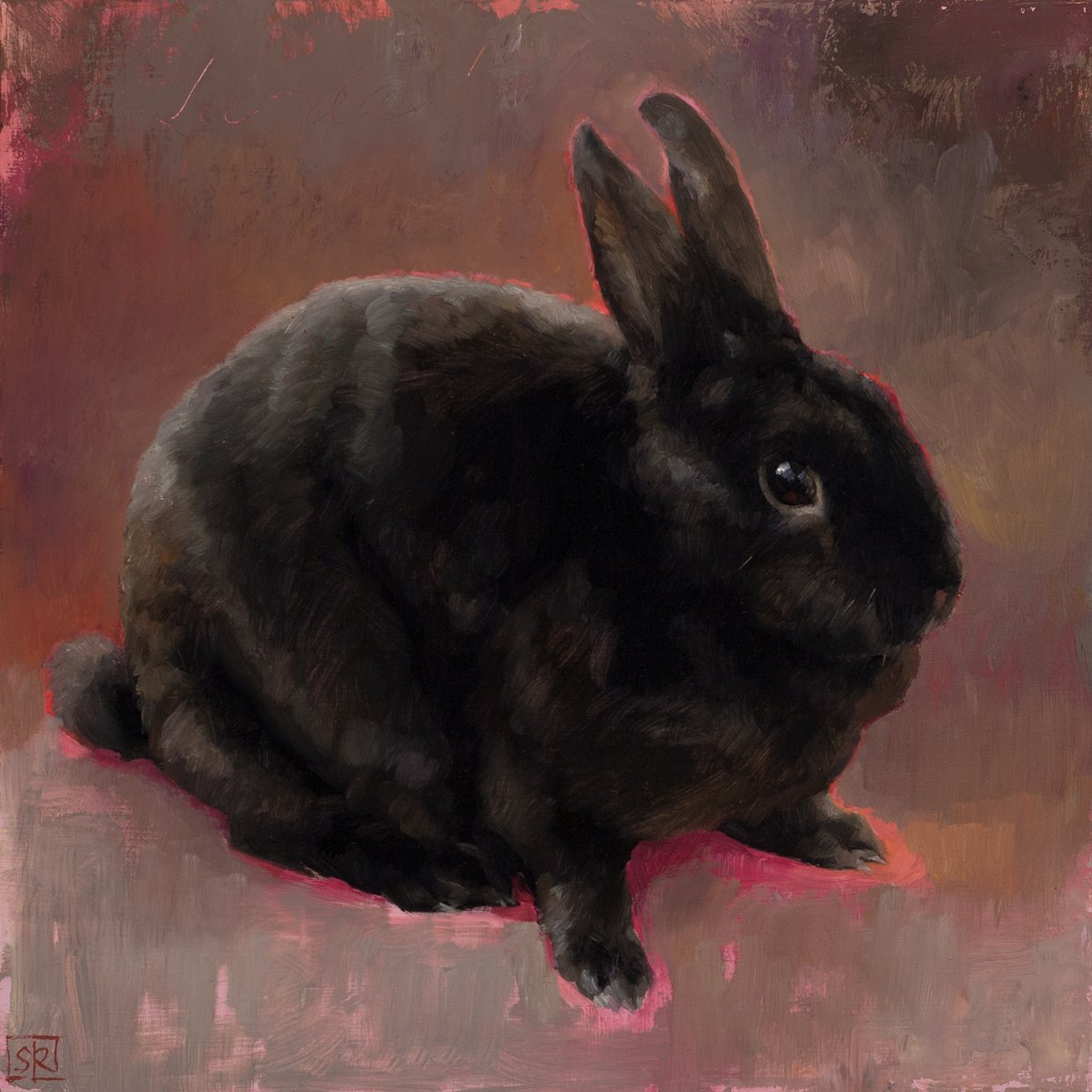 The Prizewinner, Black Velvet Rabbit