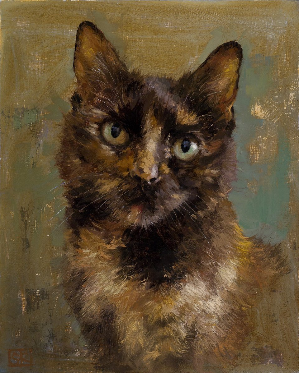 Tortoiseshell Cat