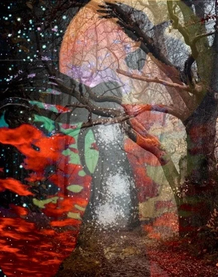 ON+her+path++fall+equinoz+2015.jpg