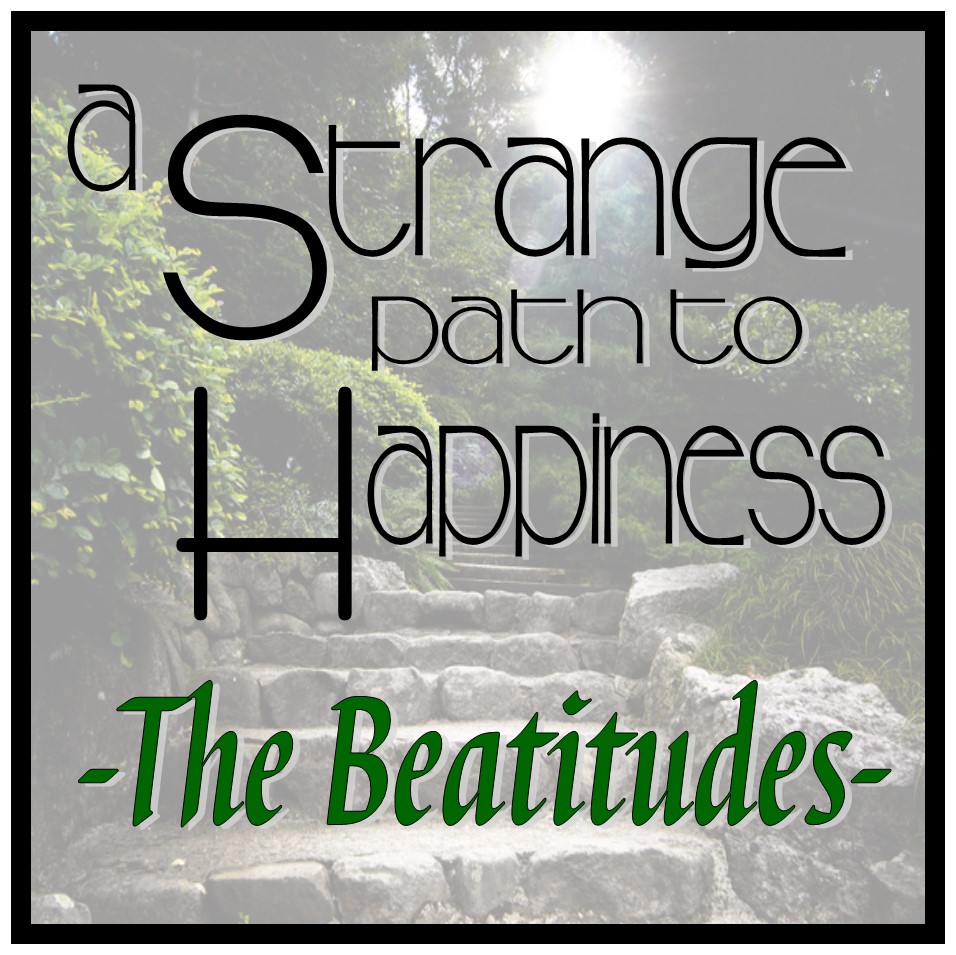 Strange Path to Happiness.jpg