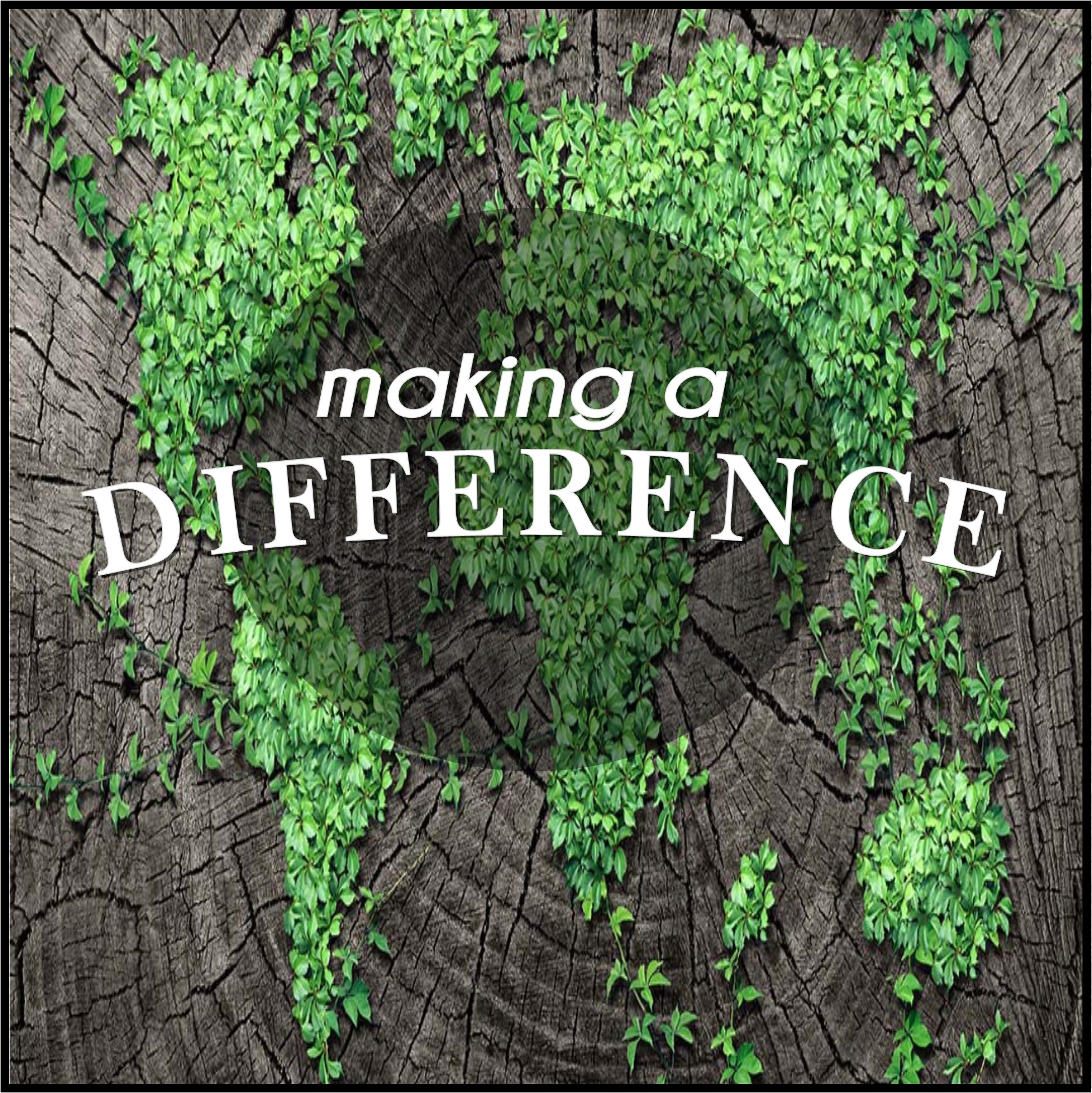 Making a difference picture 2.png.jpg