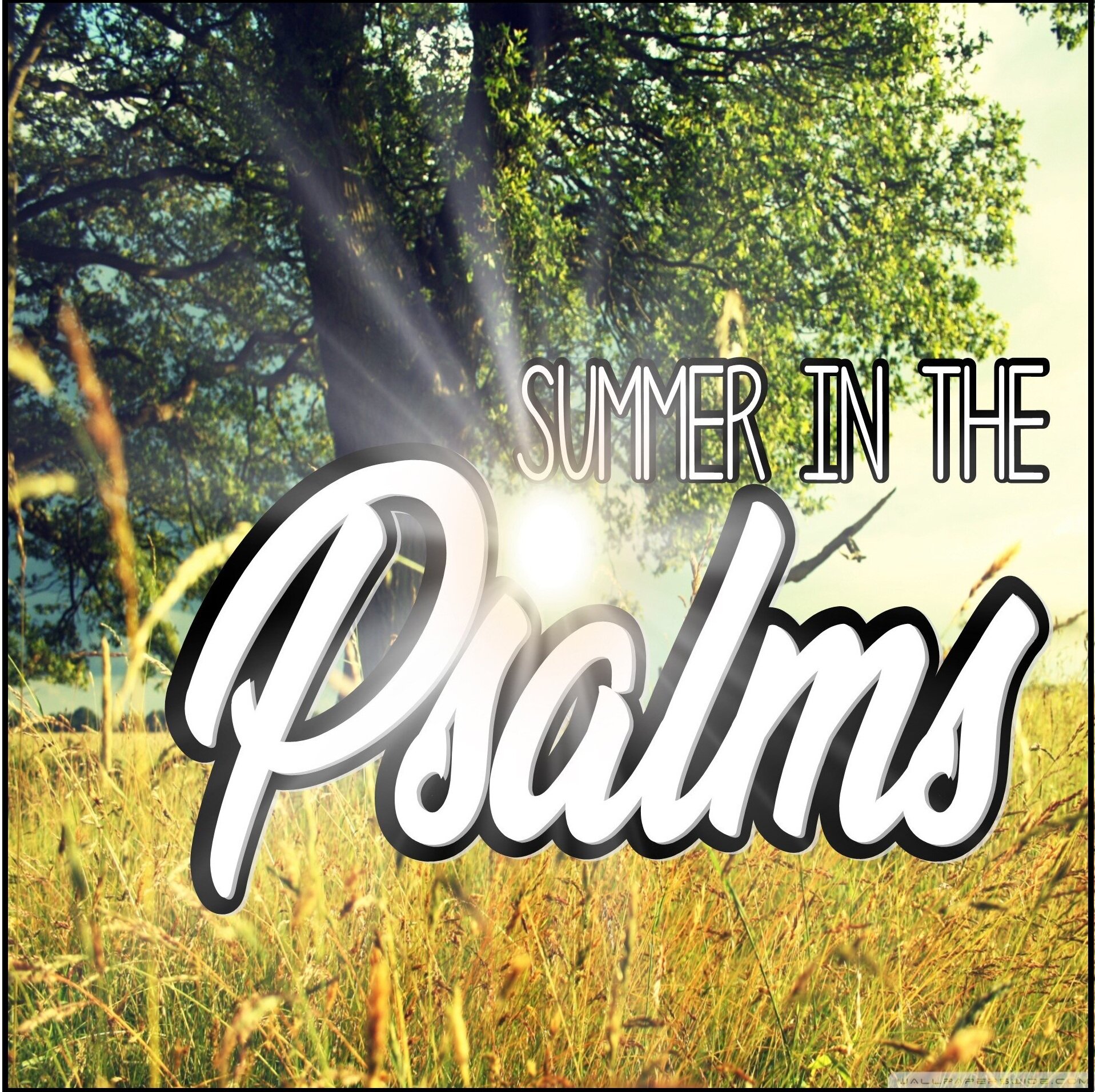 Summer In The Psalms.jpg