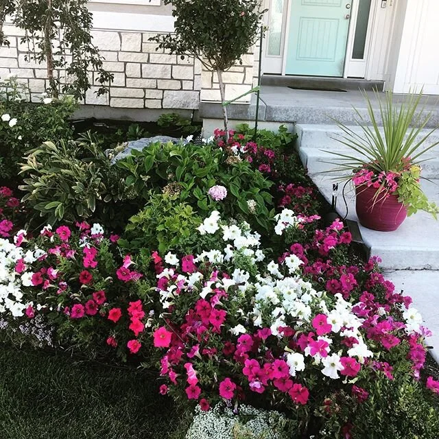 I miss my yard looking like this. 😞If you know me, you know I&rsquo;m a little obsessed with flowers. I love working in my yard. When I clean my house, it lasts about two seconds, but when I plant my flowers, they last all summer! I&rsquo;m itching 