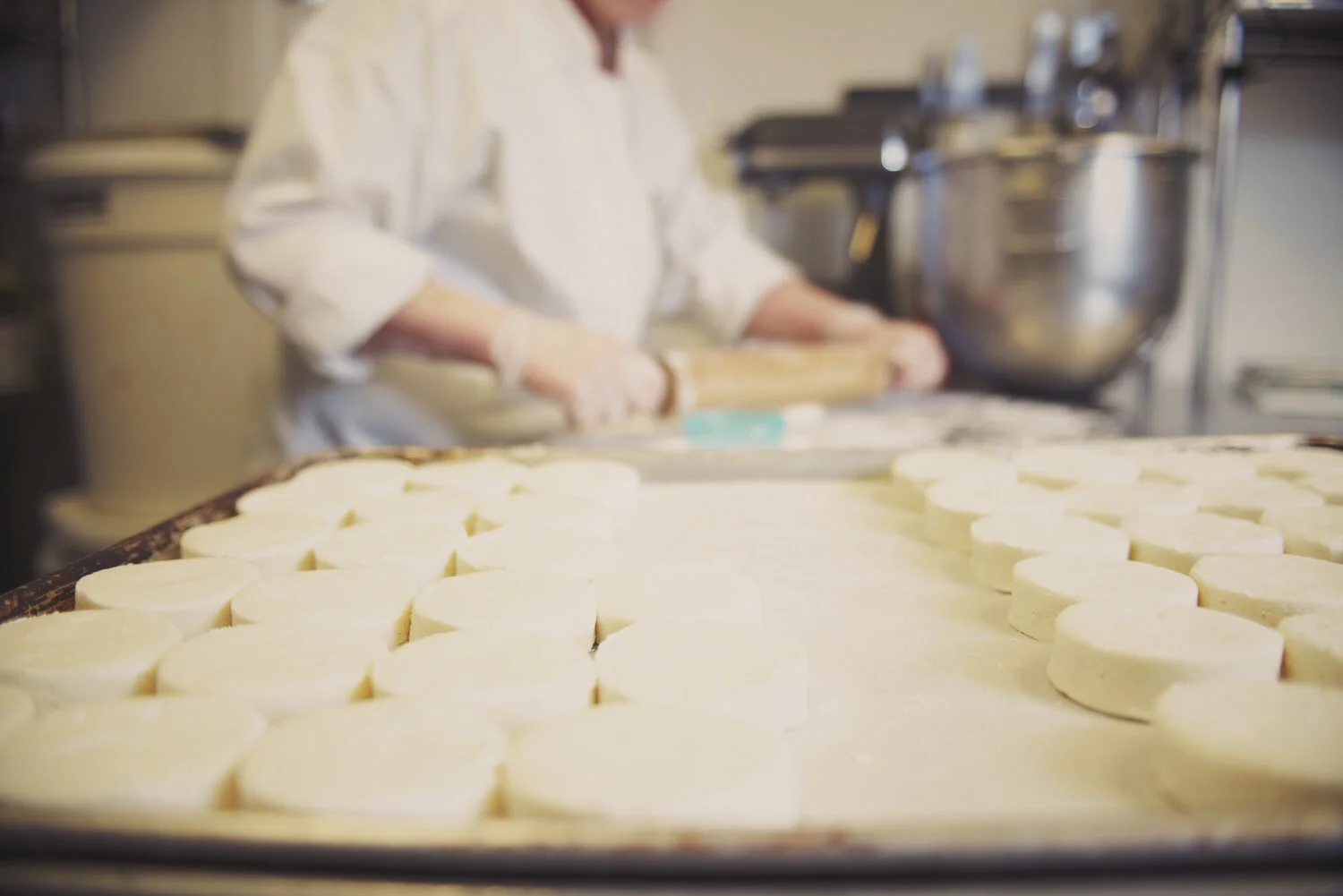 Bakery — Mason Dixon