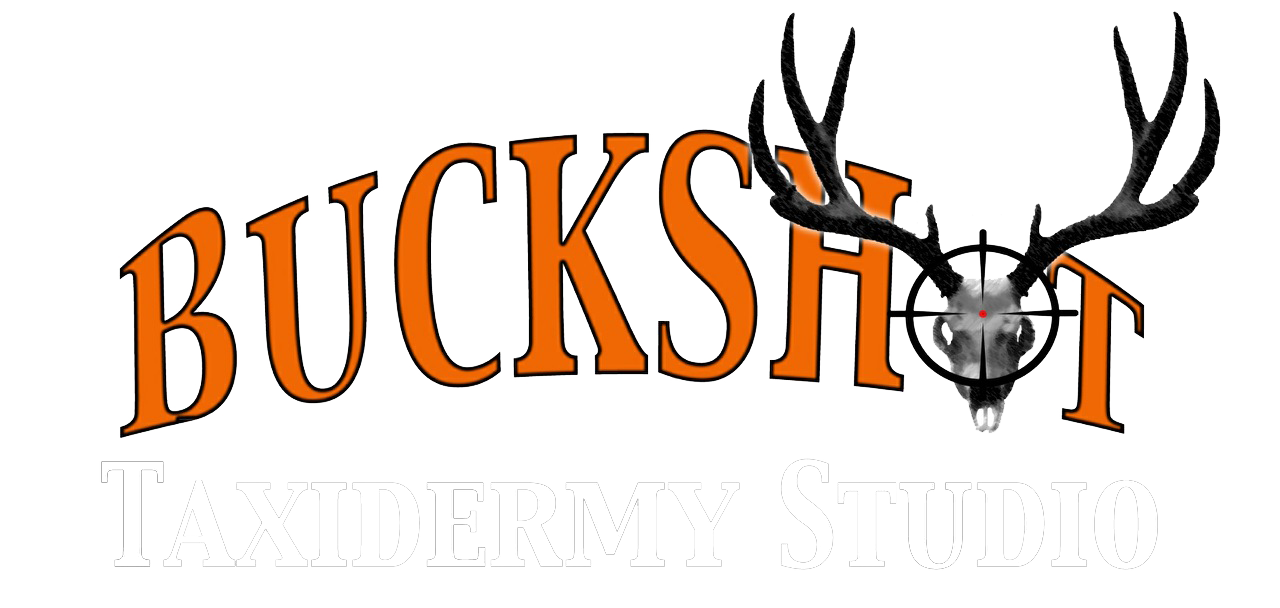 buckshot.png
