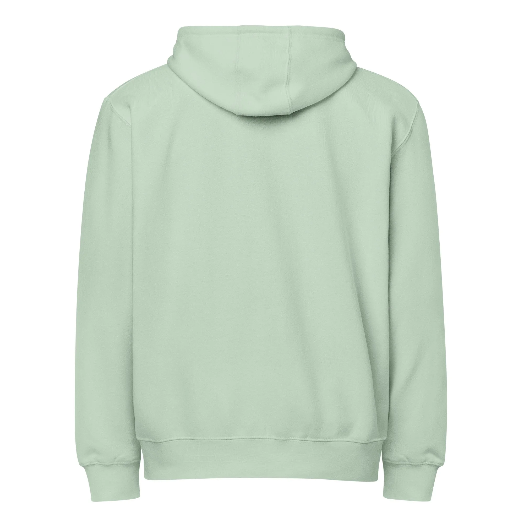 lane-seven-ls14003-i-premium-full-zip-hoodie-seafoam-back-68f945303c140.jpg