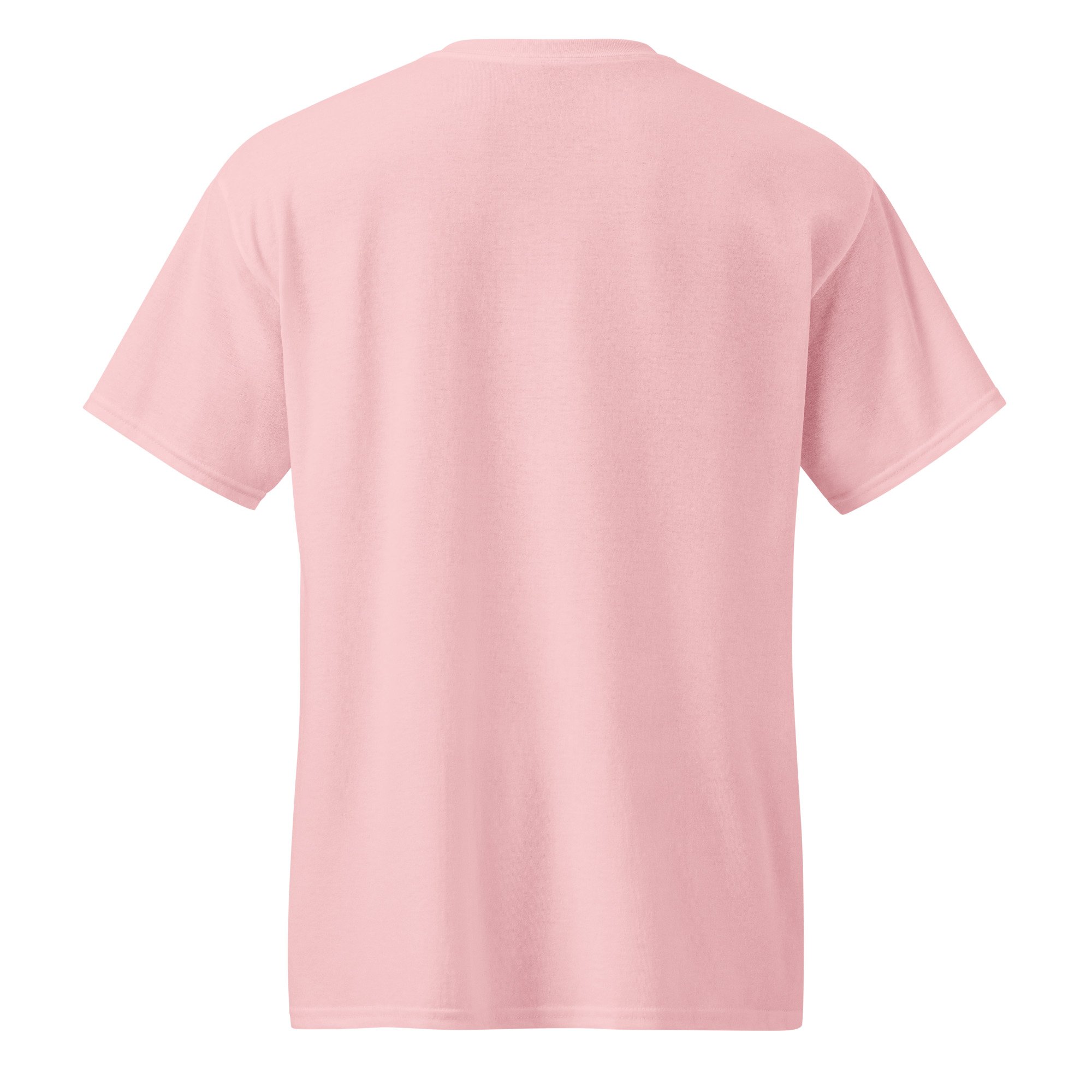 unisex-sports-tee-light-pink-back-68fa5e25ed675.jpg