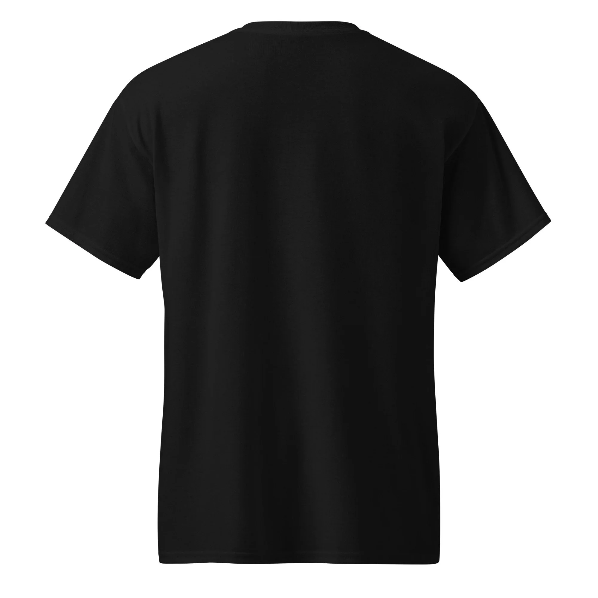unisex-sports-tee-black-back-68fa5f8c59aad.jpg