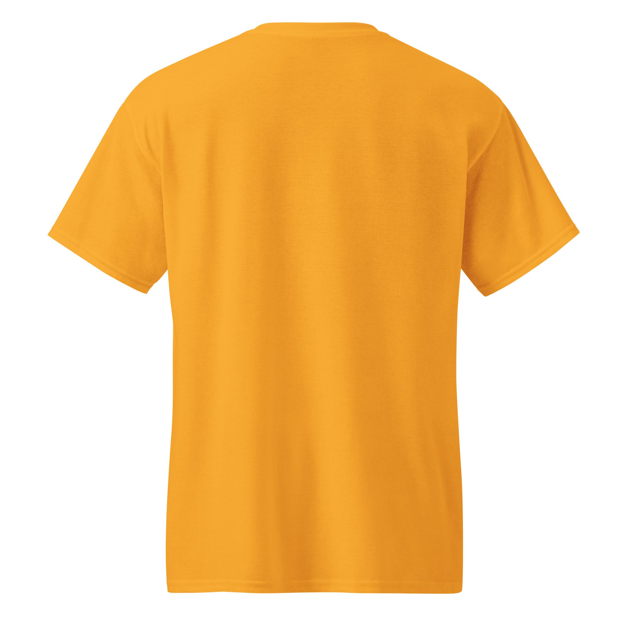 unisex-sports-tee-gold-back-68fa5f8c59c37.jpg