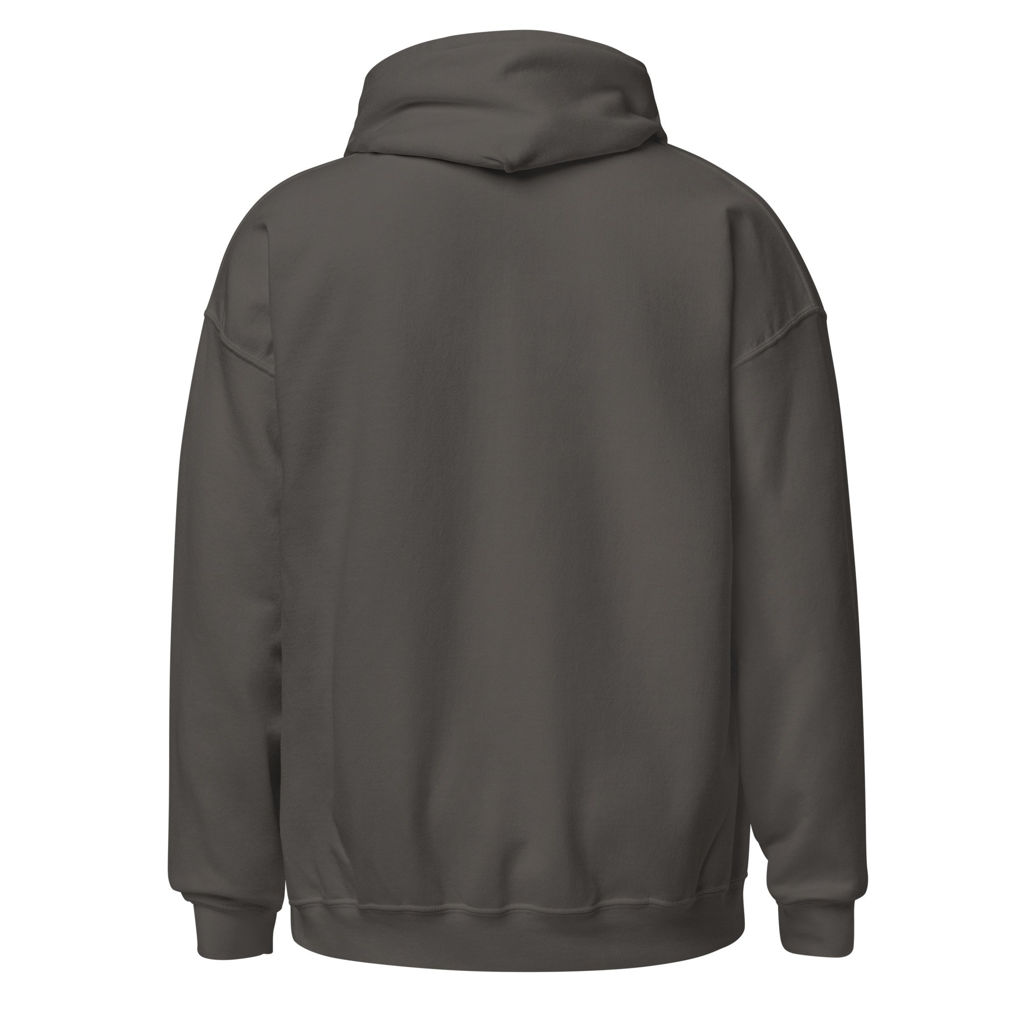unisex-heavy-blend-hoodie-charcoal-back-68fa63cc4b57c.jpg