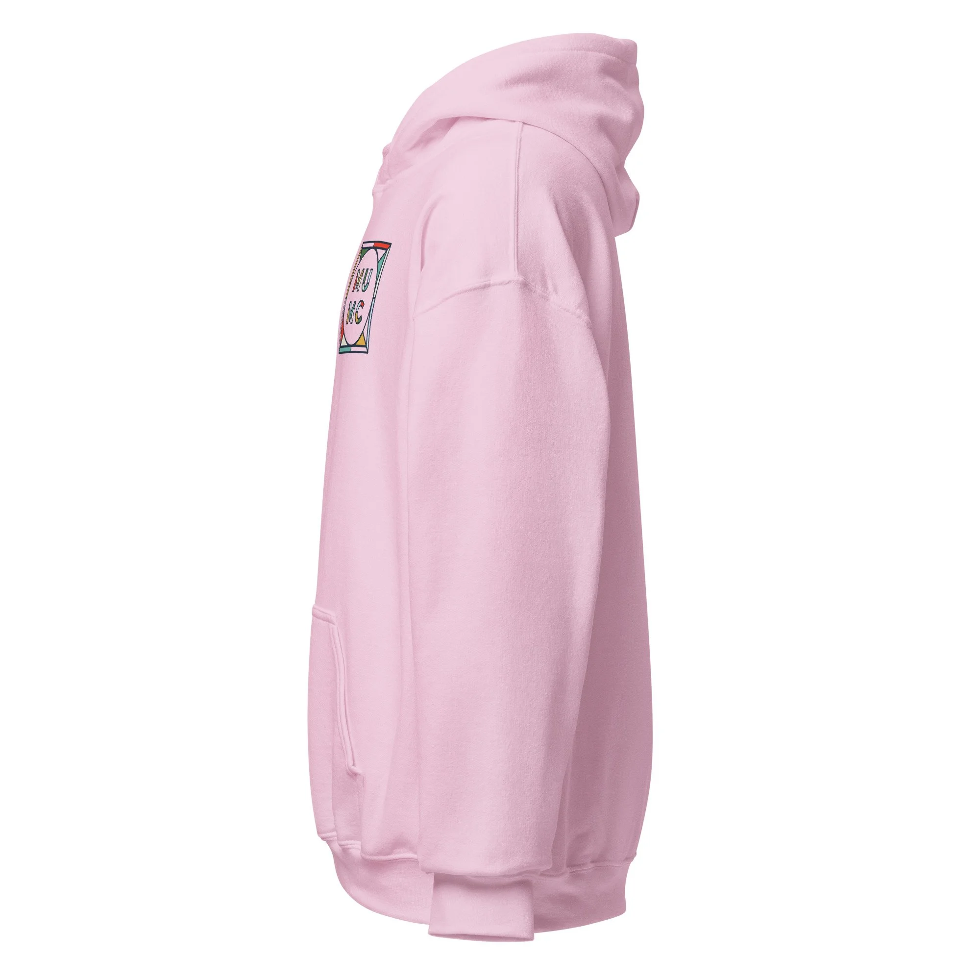 unisex-heavy-blend-hoodie-light-pink-left-68fa63cc4c3d4.jpg