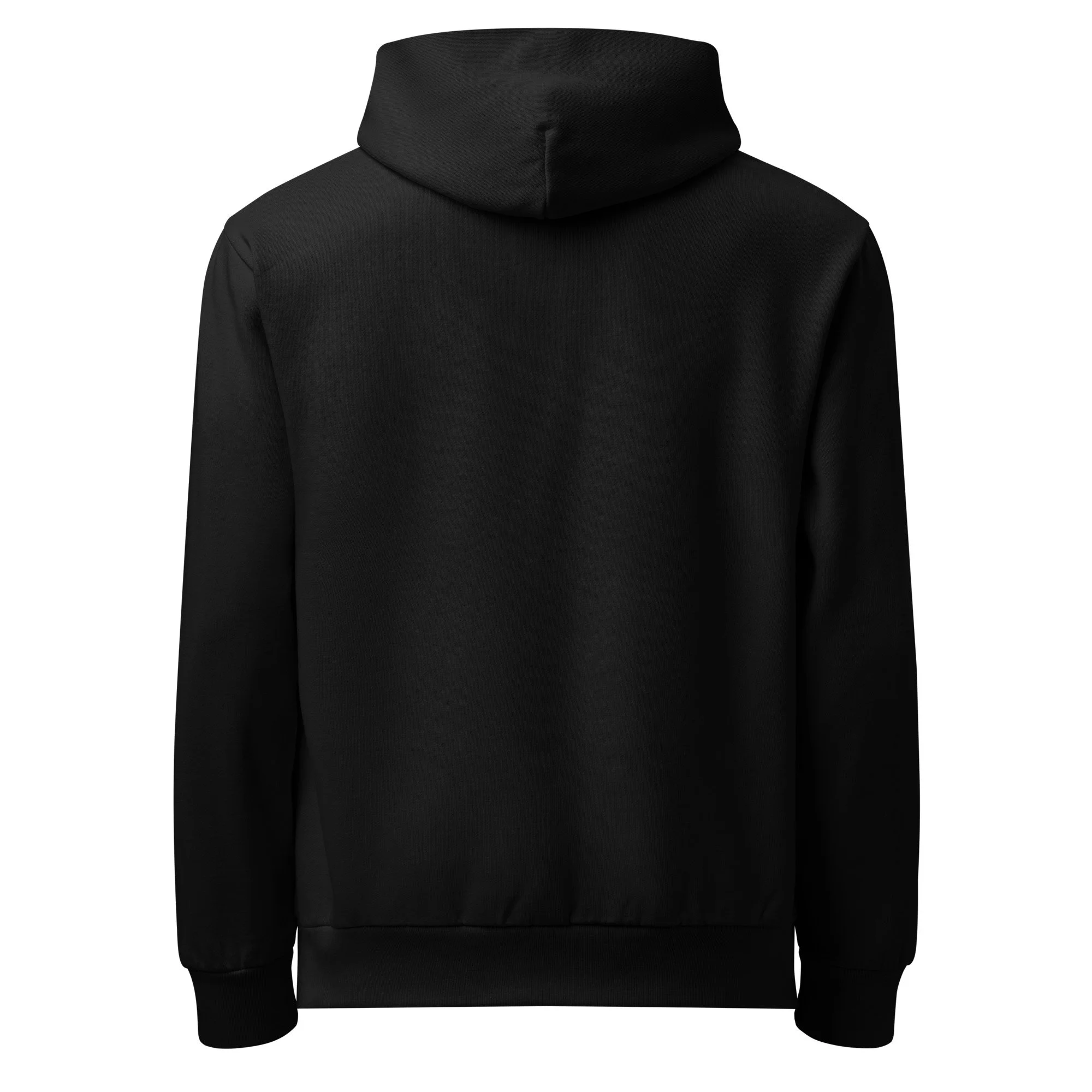 lane-seven-ls16001-i-urban-hoodie-black-back-6903dc96aa439.jpg
