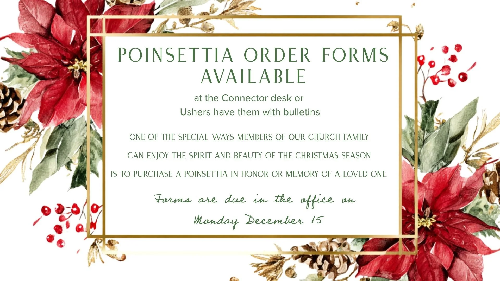 poinsettia slide.jpg