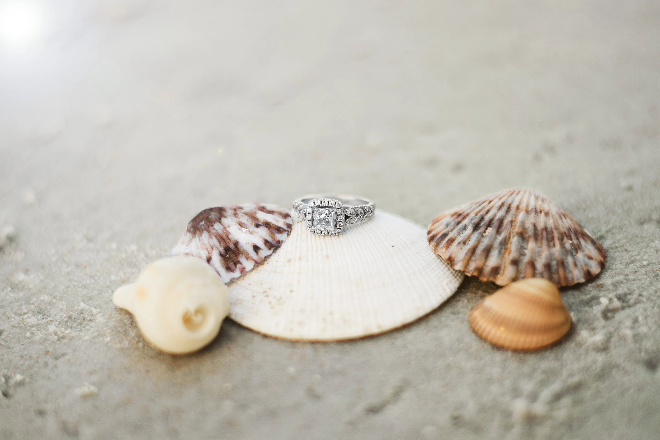 Gloria&MichaelEngagement00023 copy.jpeg