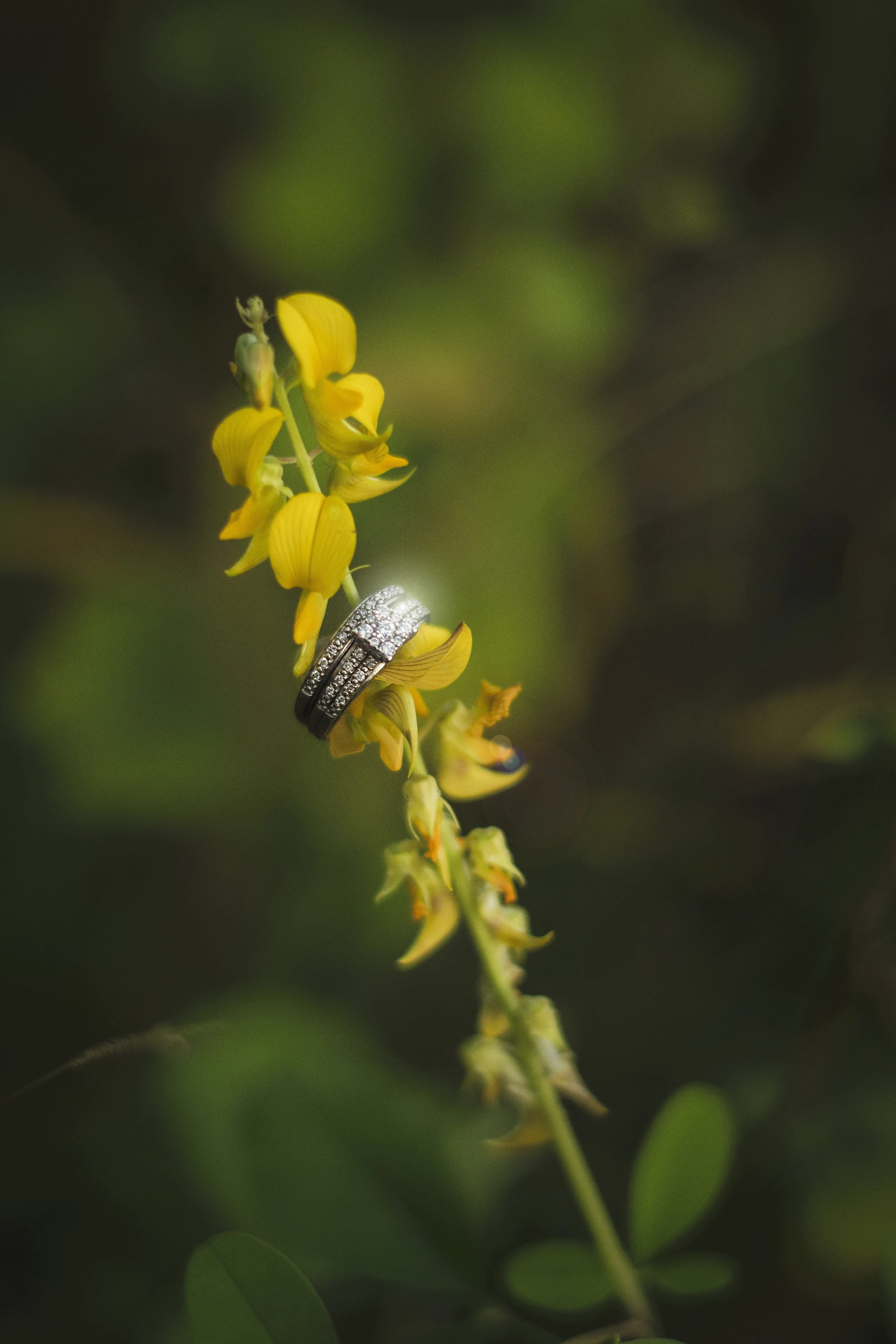 Courtney&TylerEngagement21 copy.jpeg