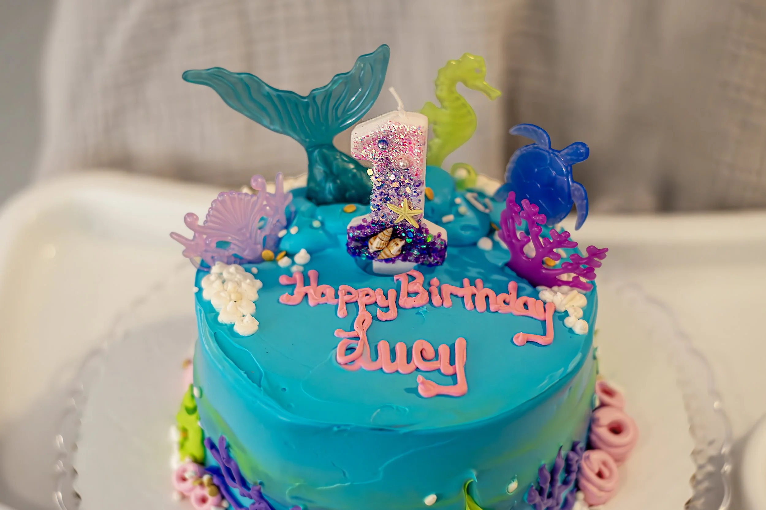 Lucy1stBirthday_62.jpg