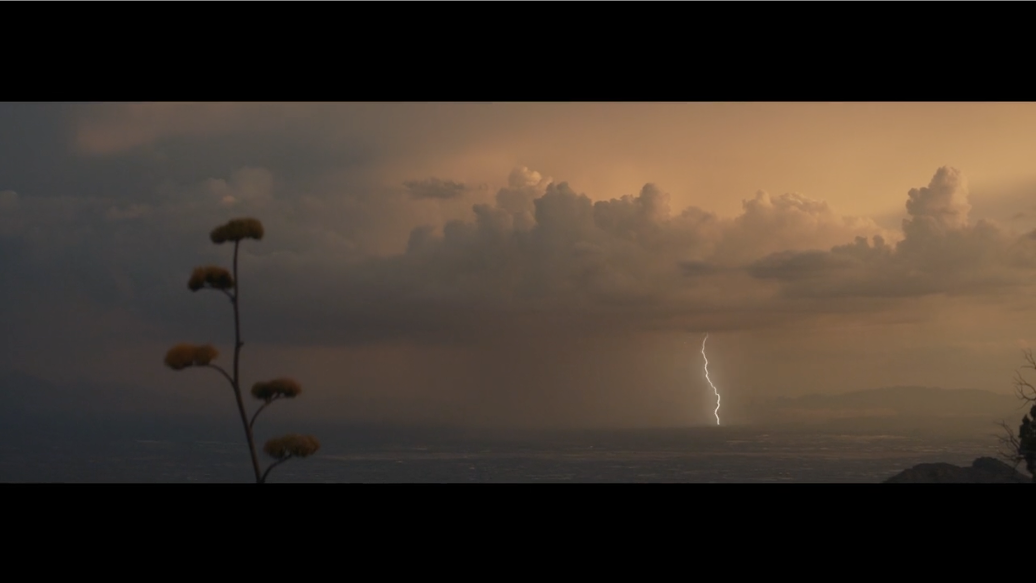 UAHS / DIR. DOUG WALKER / CARUSO & CO