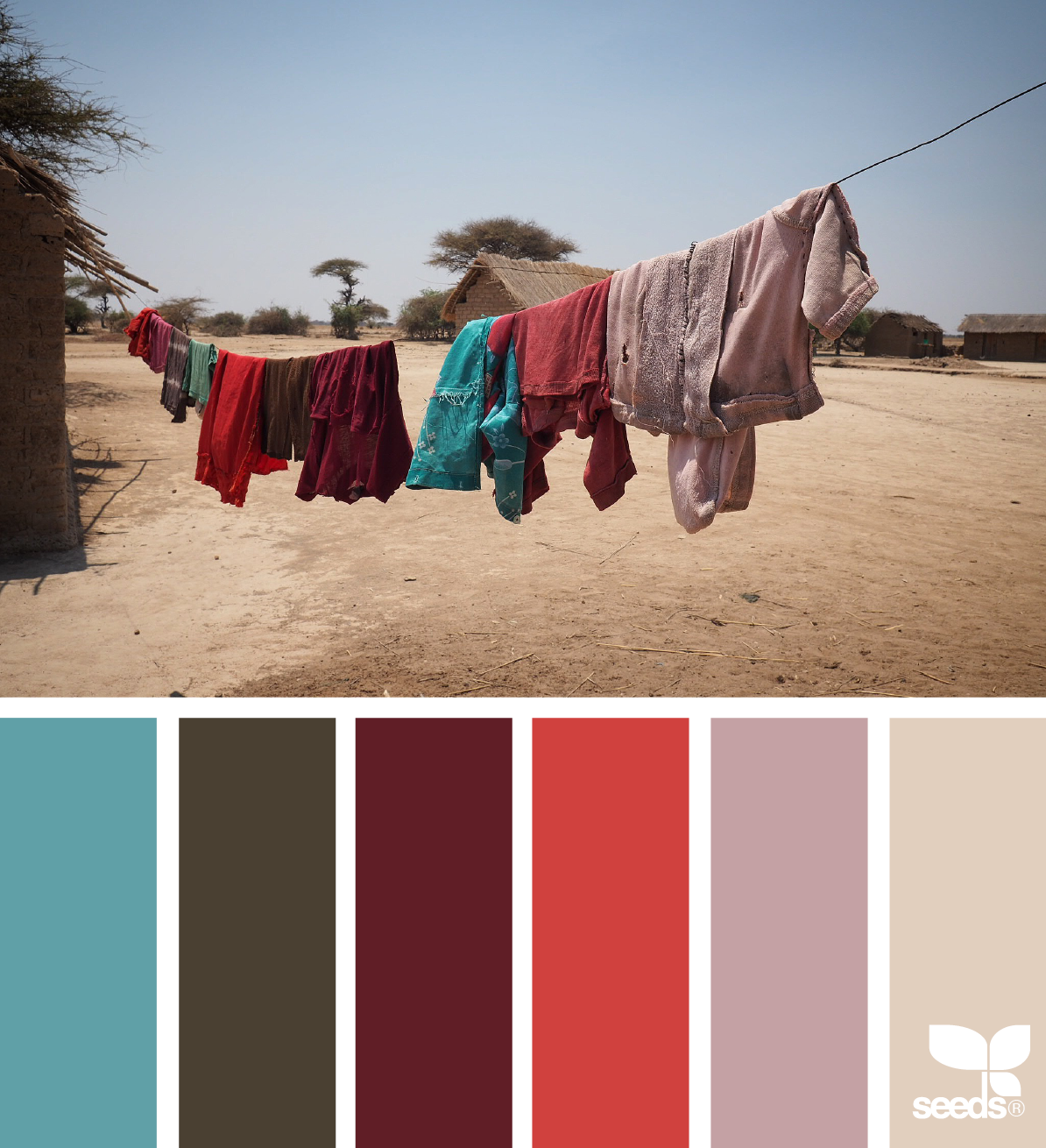 9_29_ColorWander_sara.png