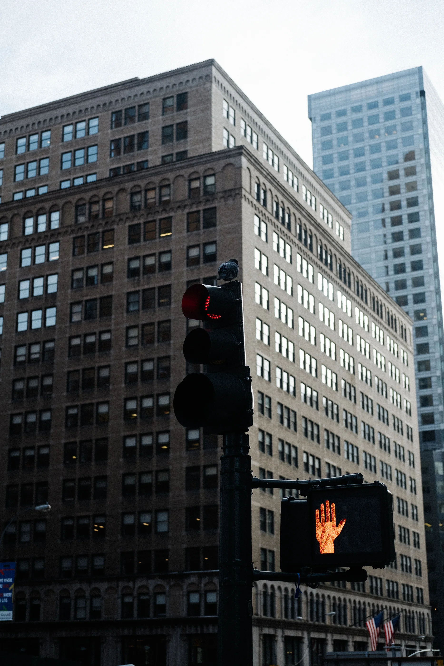 nyc 2017 (54 of 120).jpg