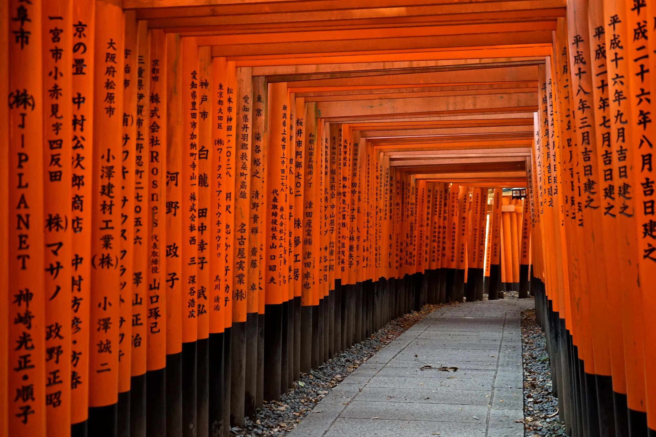 Kansai Tour: Osaka, Nara and Kyoto!