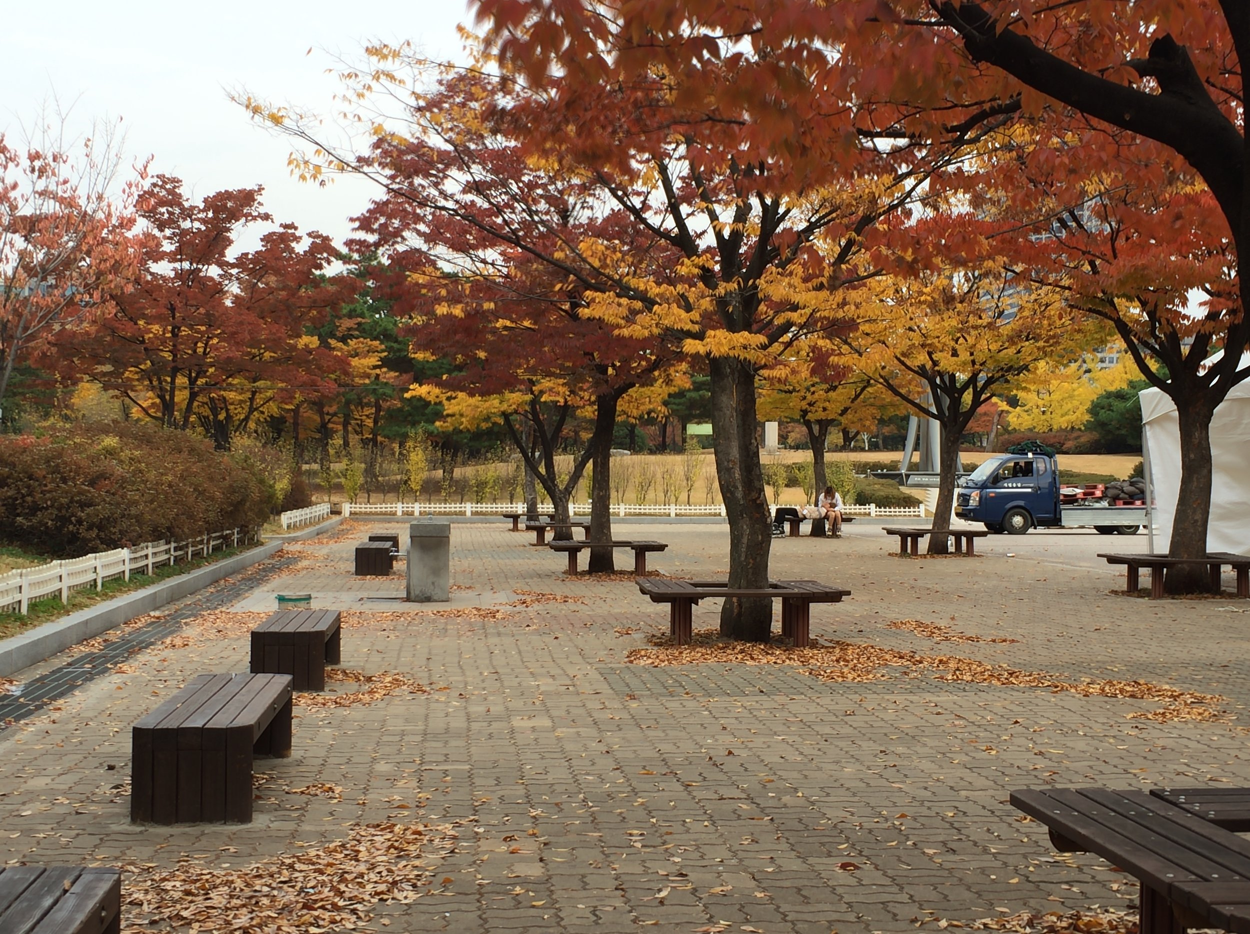 Fall-ing in Love: A Quick Seoul 'Art' Guide