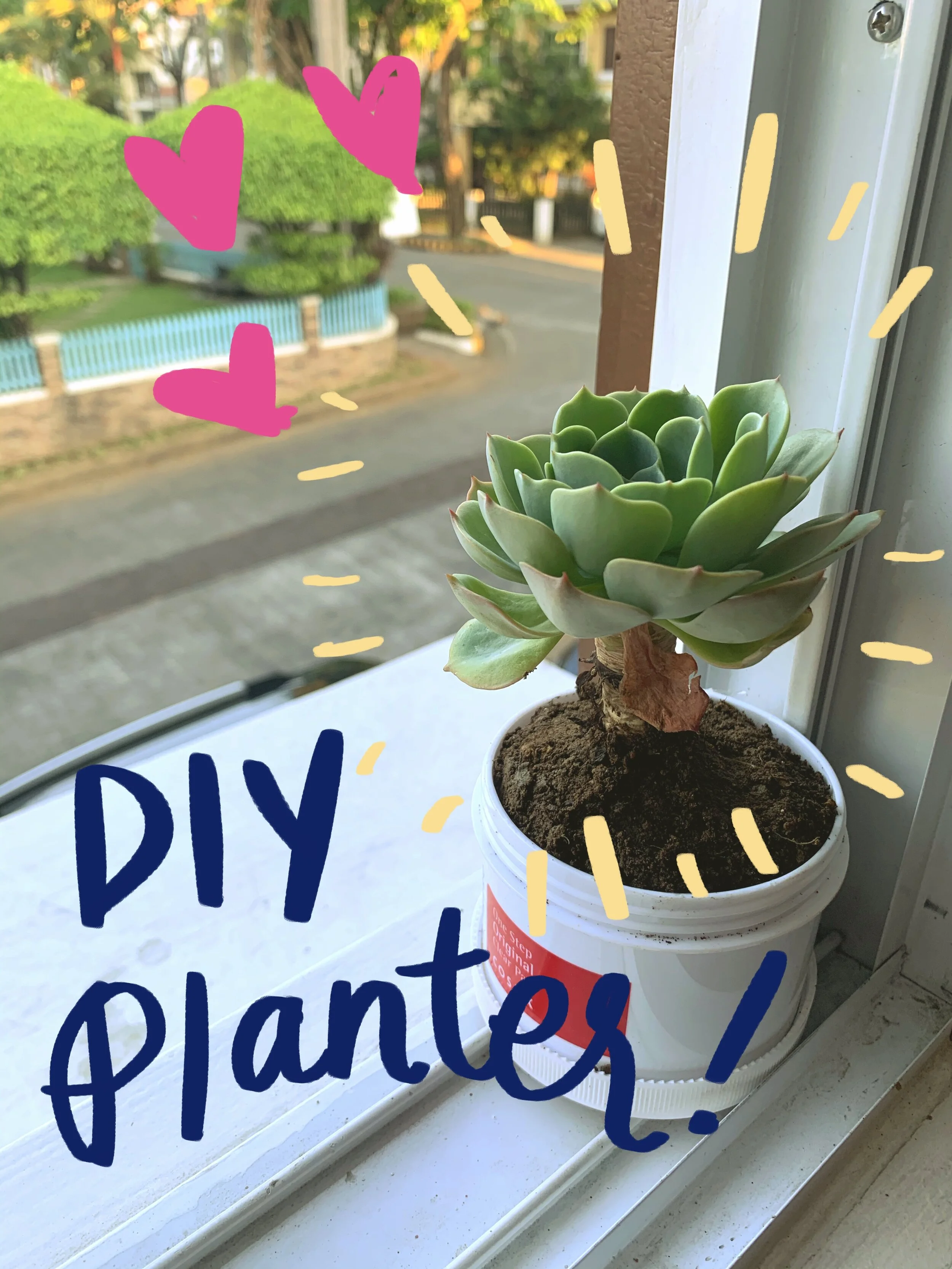 DIY Succulent Planter!