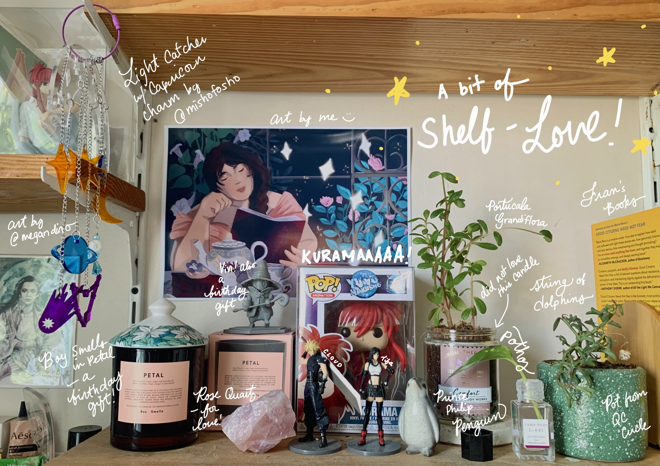 A Little Bit of Shelf Love