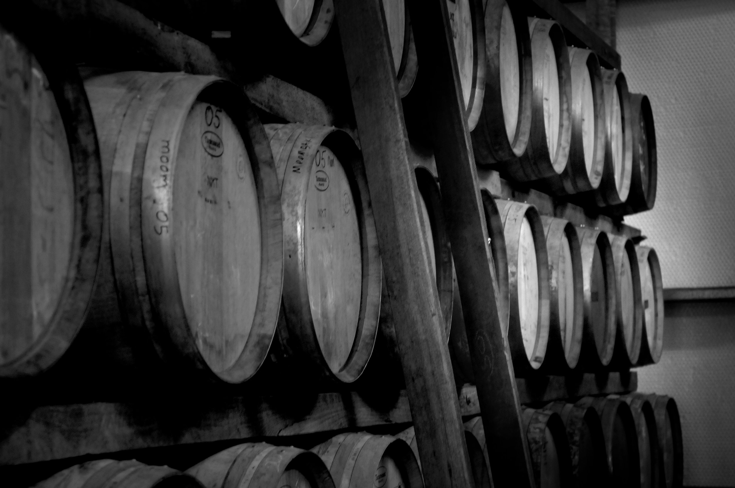 000_5382BW.JPG