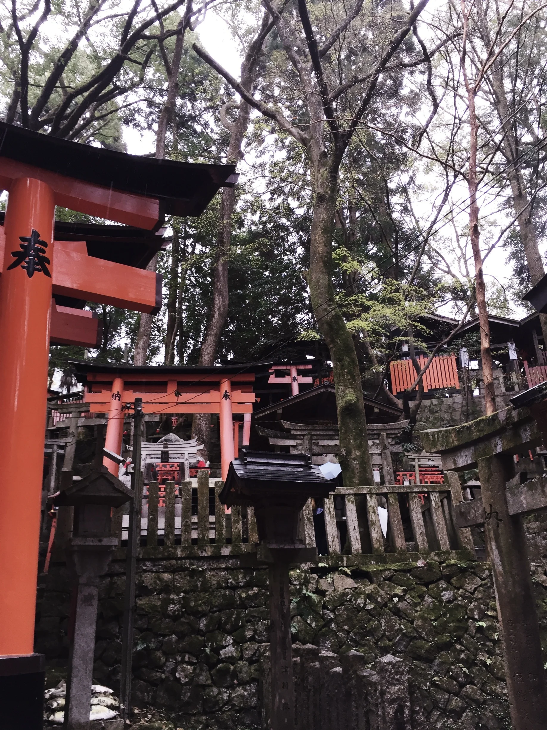 Fushimi Inari Shrine pt. 2