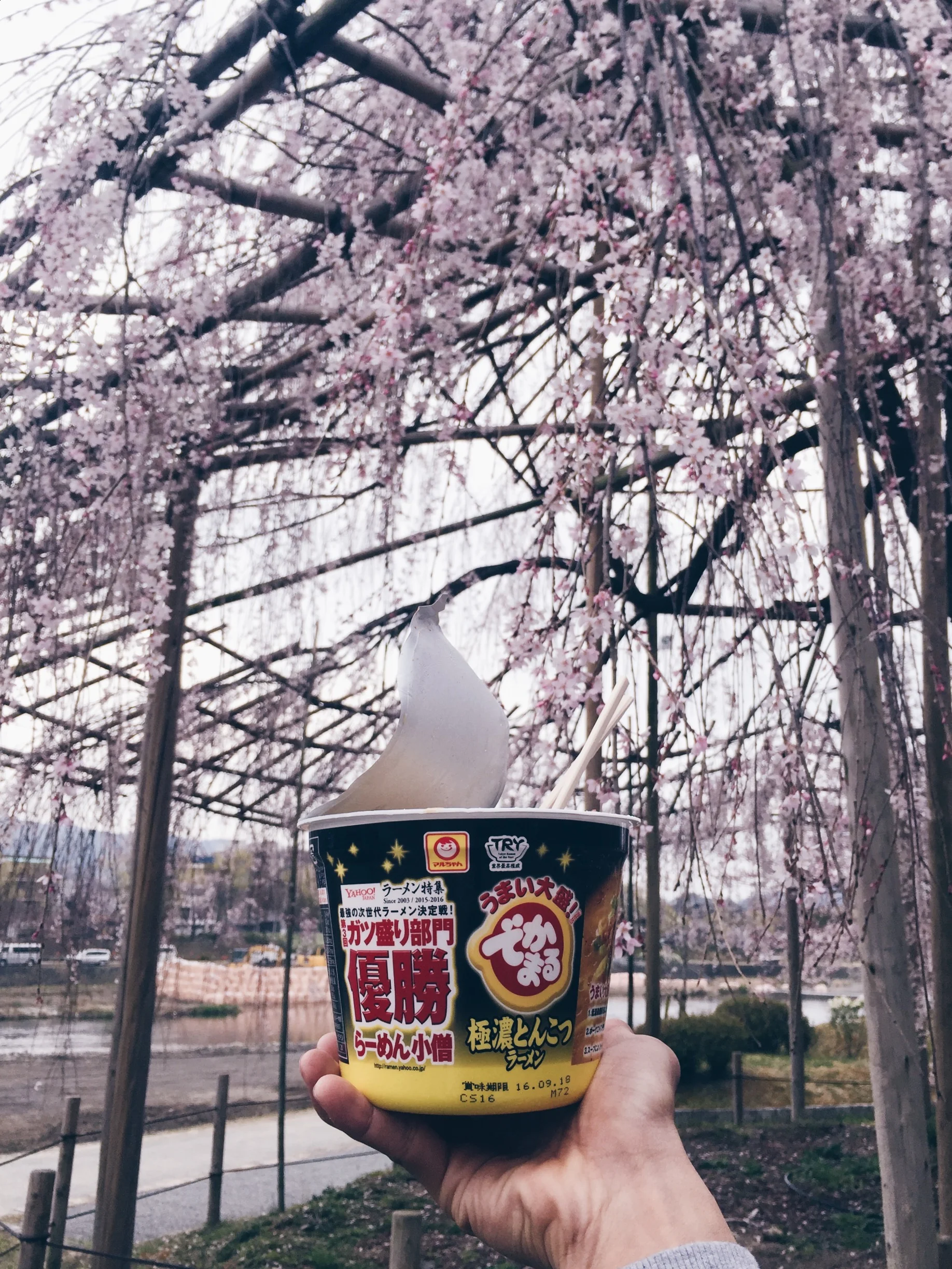 Hanami~