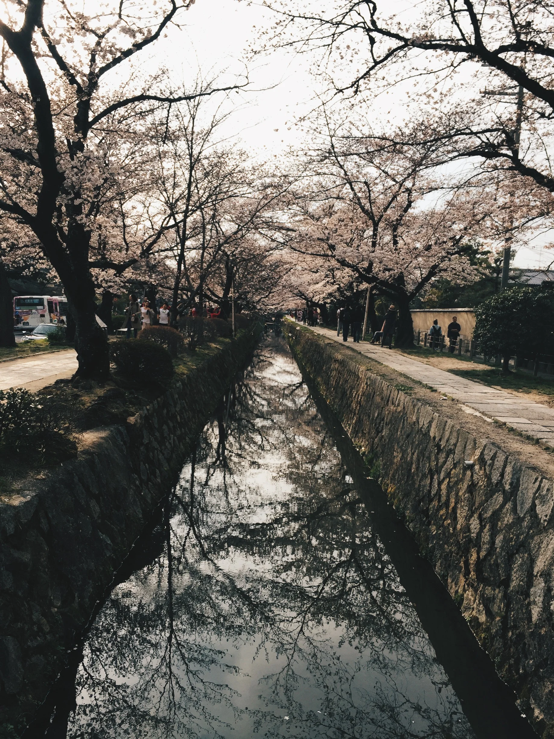 Philosopher's Walk
