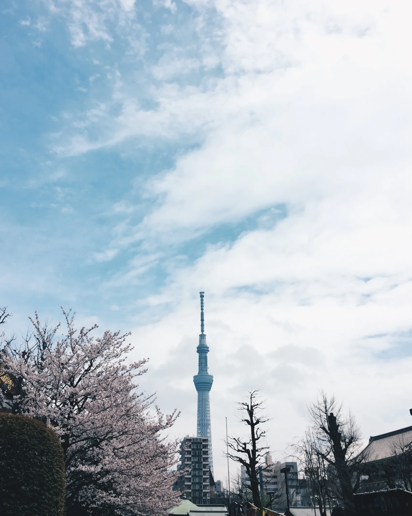 Sensō-ji Temple pt 6