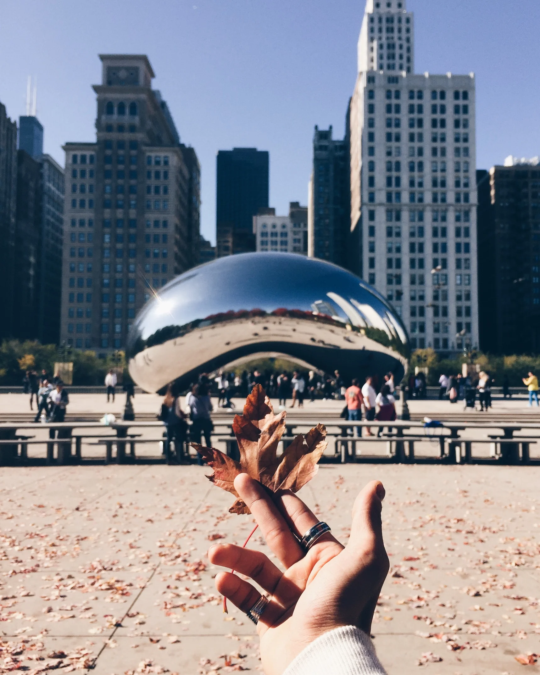 Cloud Gate pt. 4
