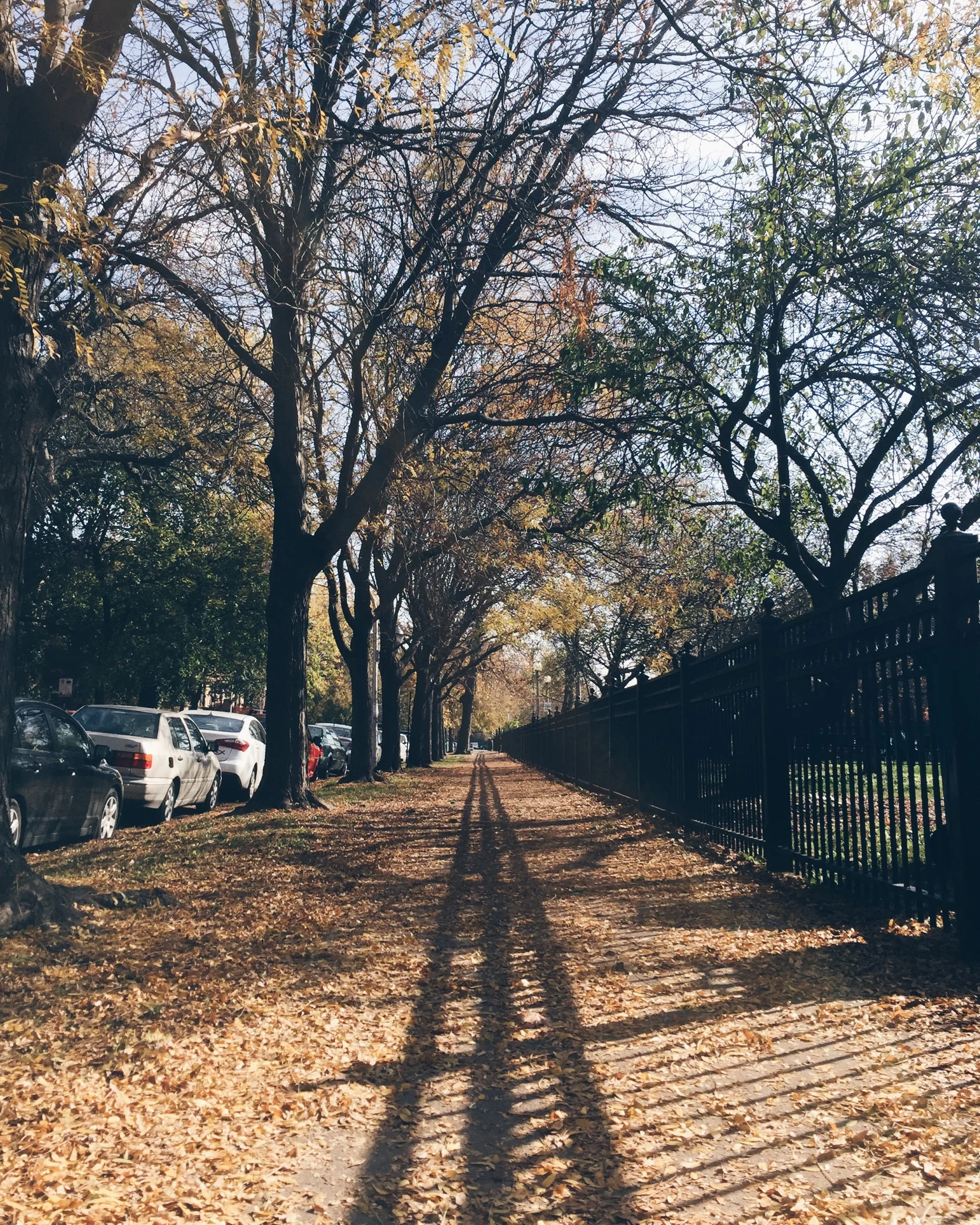 Wicker Park