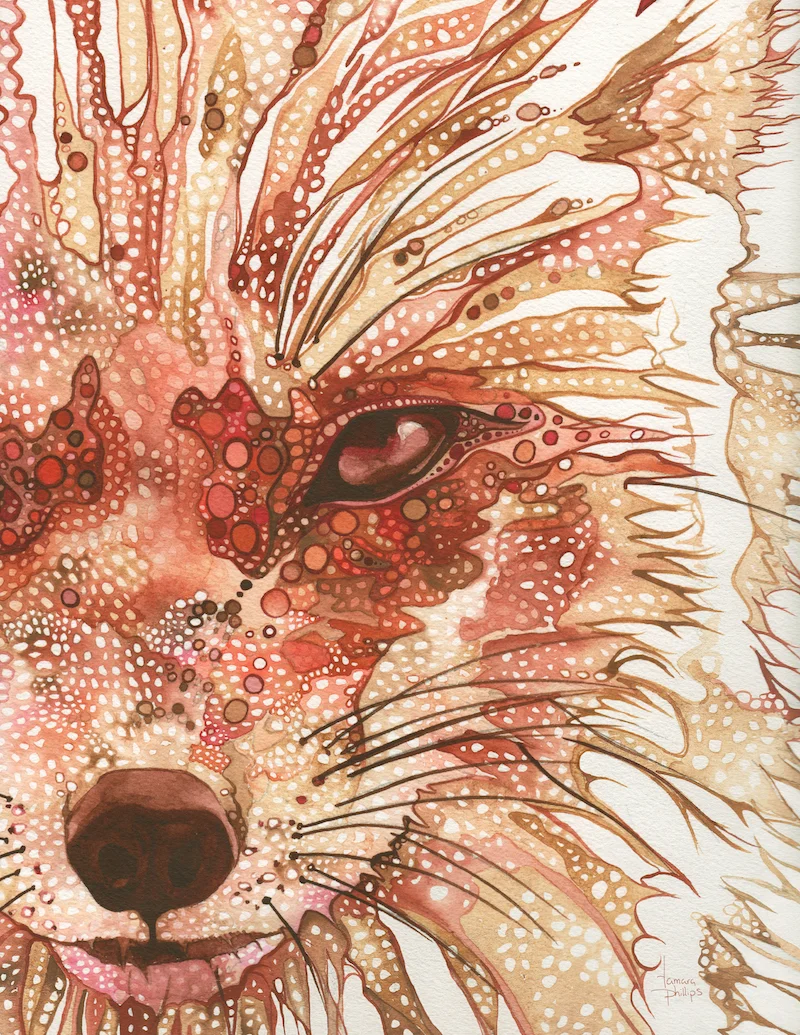Fox - Ceci n'est pas un renard