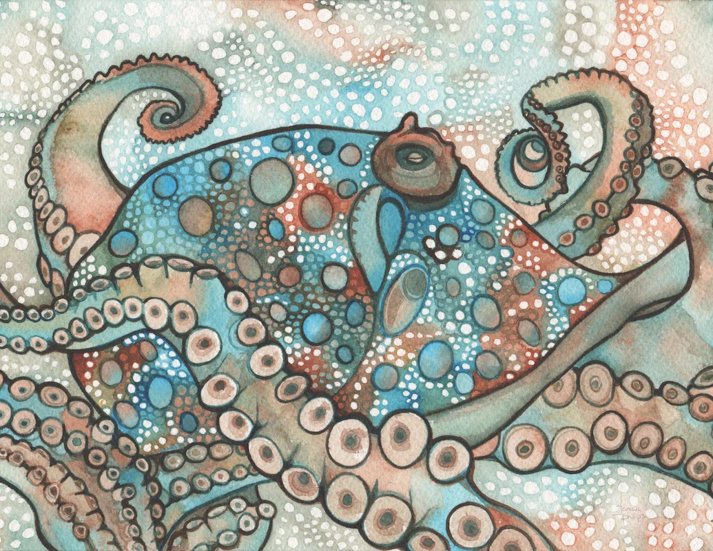 Octopus