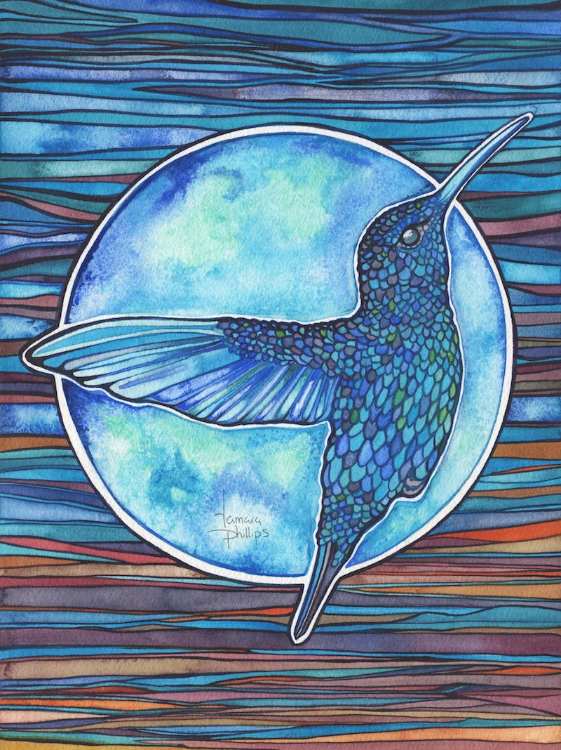 Blue Hummingbird