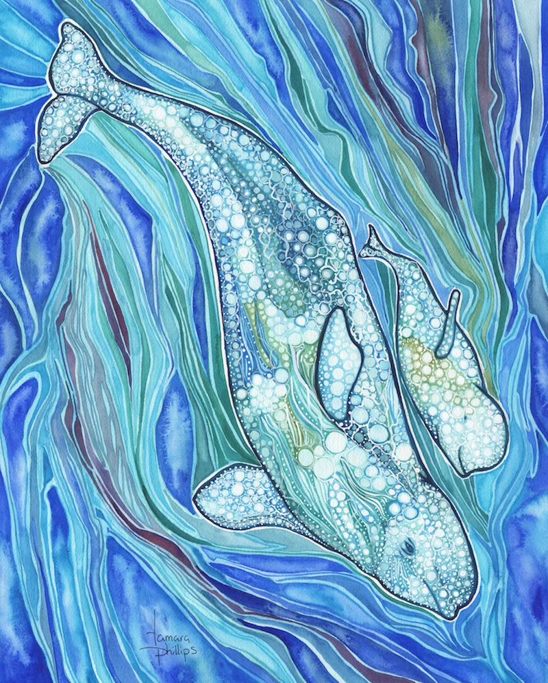 Belugas 16" x 20" Watercolour