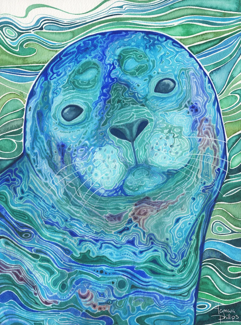 Aqua Seal