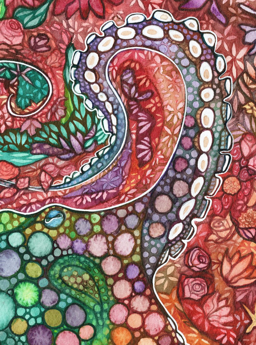 Tamara Phillips — Octopus in Bloom
