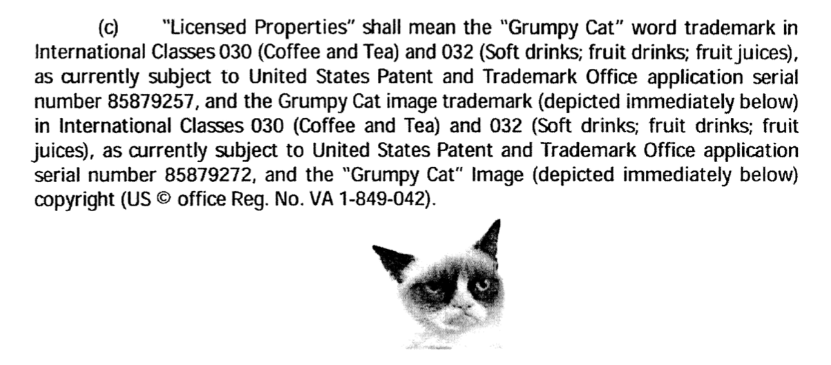 grumpy cat license.png