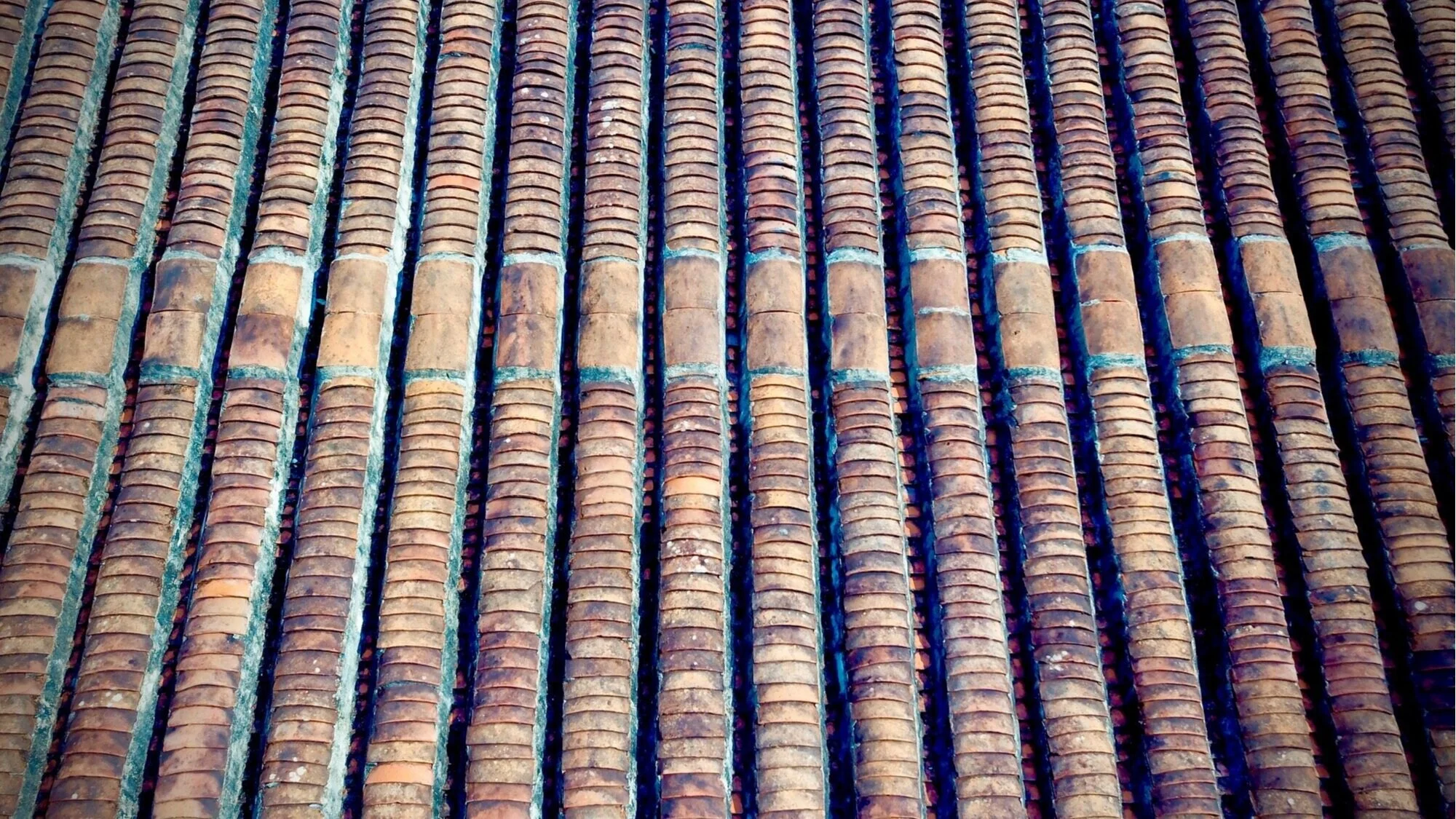roof.jpg