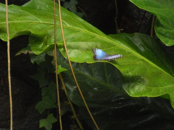 Costa Rica