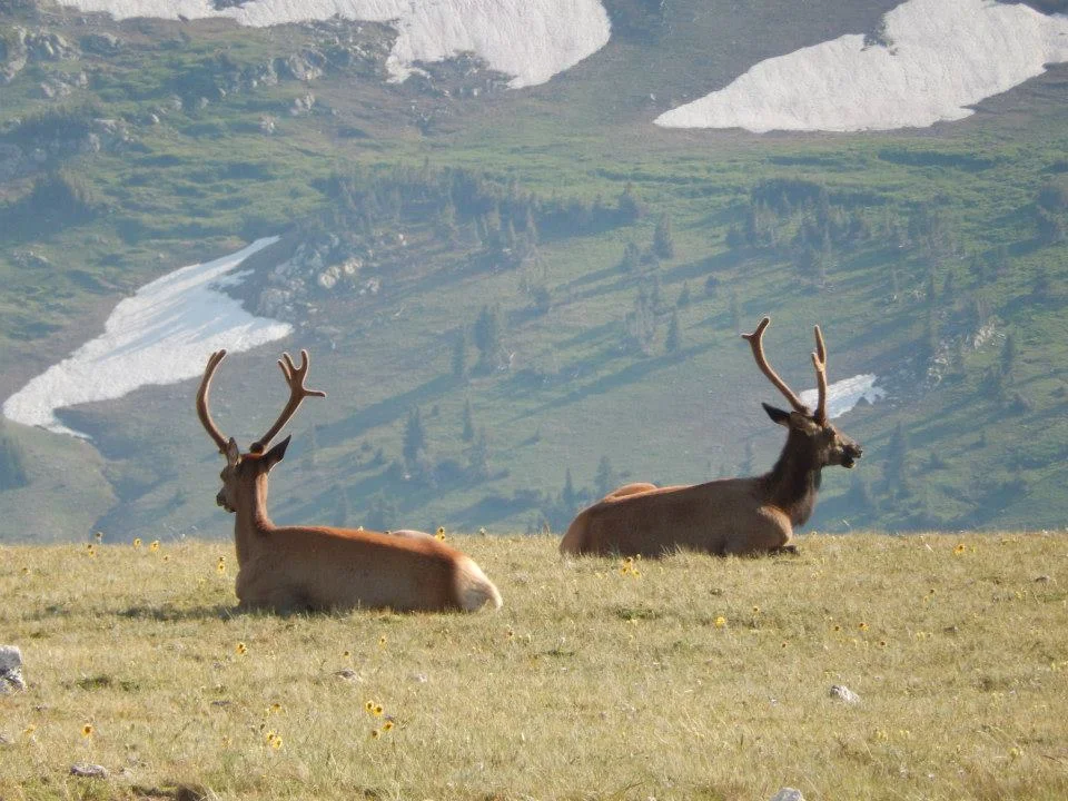 Rocky Mountain National Park, Colorado