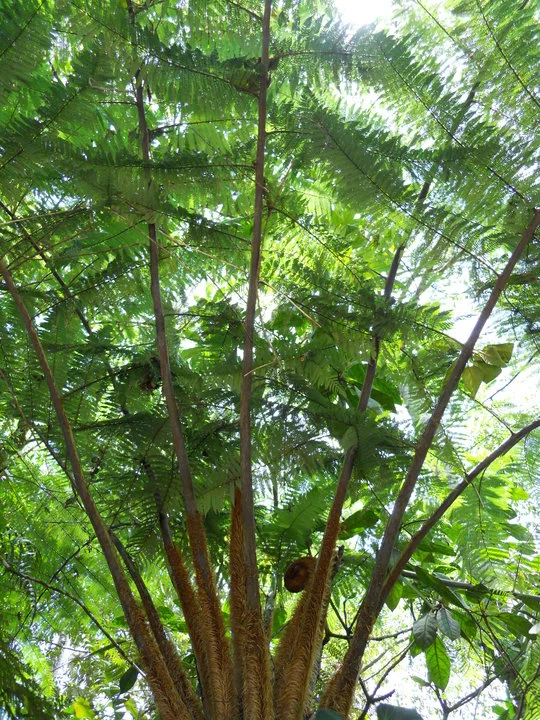 Costa Rica