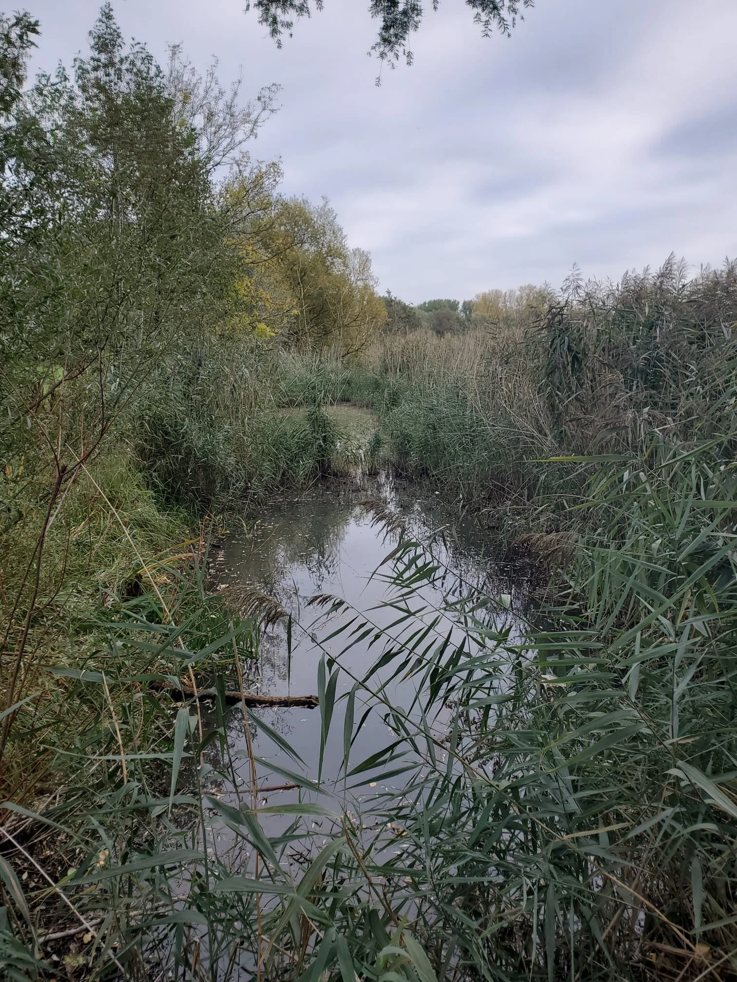 Nature preserve in Ghent, Belgium